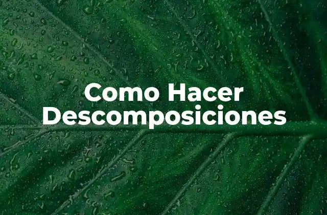 Como Hacer Descomposiciones
