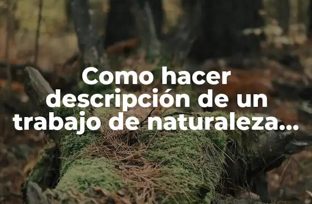 Como Hacer Descripción de un Trabajo de Naturaleza Muerta