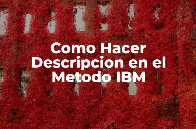 Como Hacer Descripcion en el Metodo Ibm