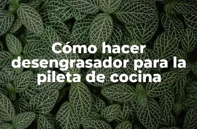 Cómo Hacer Desengrasador para la Pileta de Cocina