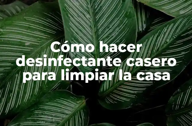 Cómo Hacer Desinfectante Casero para Limpiar la Casa
