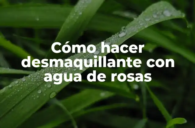 Cómo Hacer Desmaquillante con Agua de Rosas