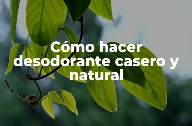 Cómo Hacer Desodorante Casero y Natural