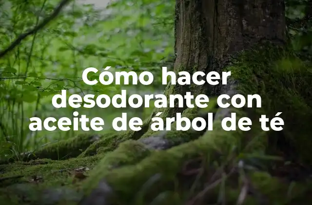 Cómo Hacer Desodorante con Aceite de Árbol de Té