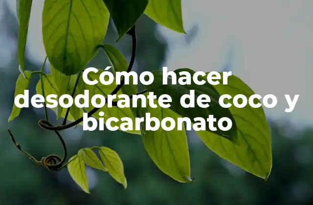 Desodorante de coco y bicarbonato