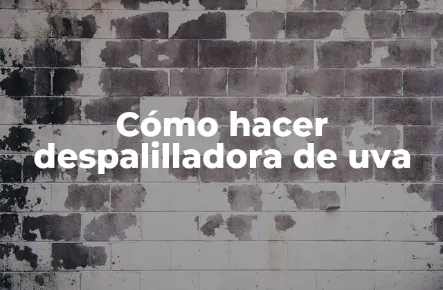 Cómo Hacer Despalilladora de Uva 2 Despalilladora de uva: ¿Qué es y para qué sirve?