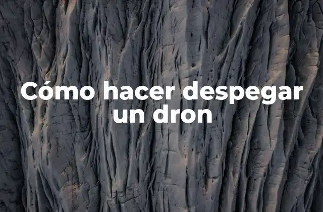 Cómo hacer despegar un dron