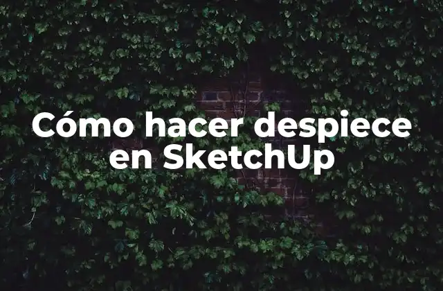Cómo Hacer Despiece en Sketchup