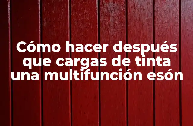 Cómo Hacer Después que Cargas de Tinta una Multifunción Esón