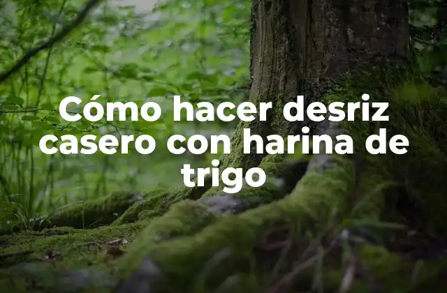 Cómo Hacer Desriz Casero con Harina de Trigo