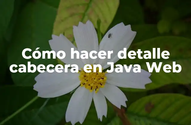 Cómo Hacer Detalle Cabecera en Java Web