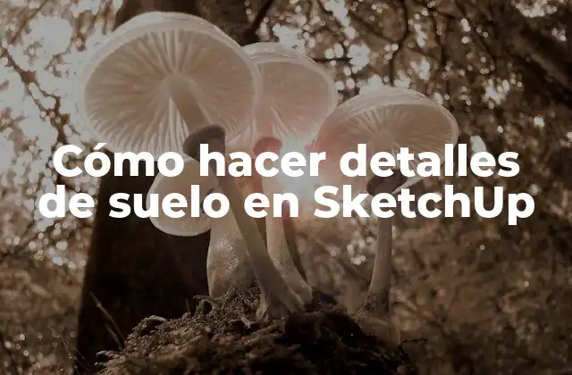 Cómo Hacer Detalles de Suelo en Sketchup