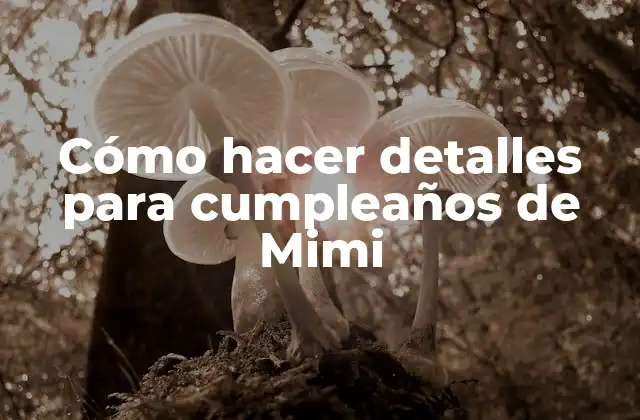 Cómo Hacer Detalles para Cumpleaños de Mimi 2 Cómo hacer detalles para cumpleaños de Mimi