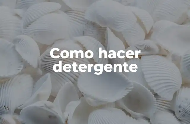 Como Hacer Detergente