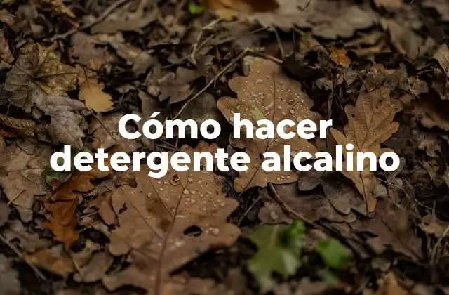 Cómo Hacer Detergente Alcalino
