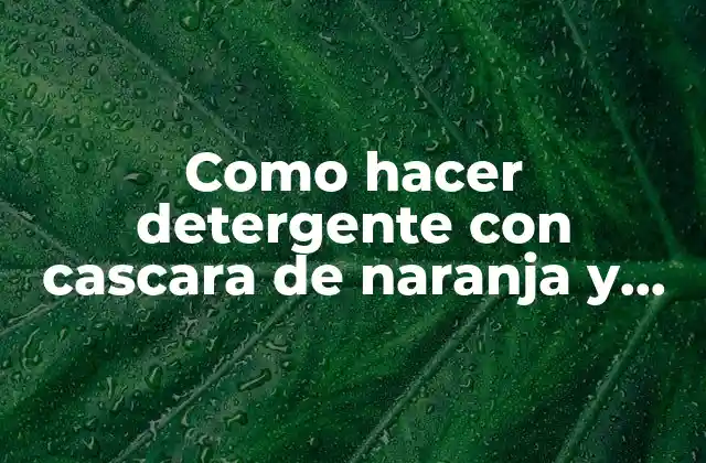 Como Hacer Detergente con Cascara de Naranja y Azúcar