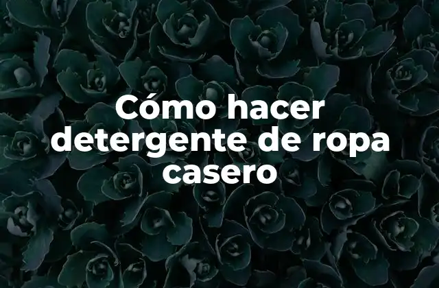 Cómo Hacer Detergente de Ropa Casero 2 ¿Qué es el detergente de ropa casero y cómo funciona?