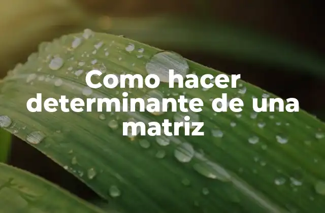 Como Hacer Determinante de una Matriz