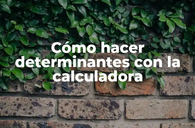 Cómo Hacer Determinantes con la Calculadora