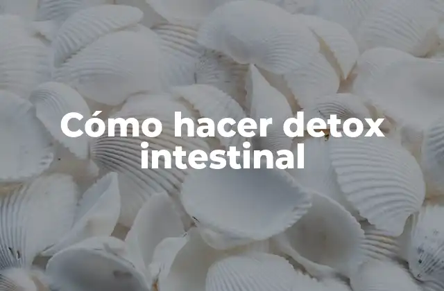 Cómo Hacer Detox Intestinal