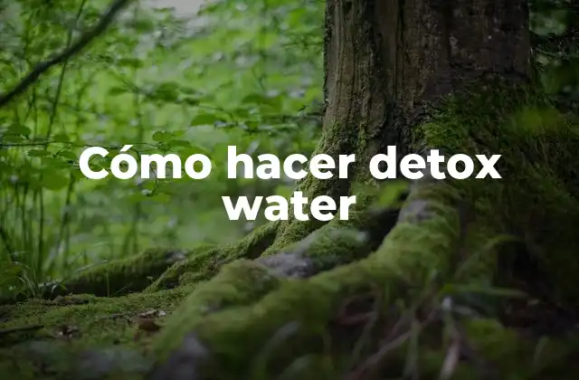 Cómo Hacer Detox Water