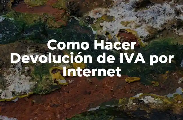 Como Hacer Devolución de Iva por Internet