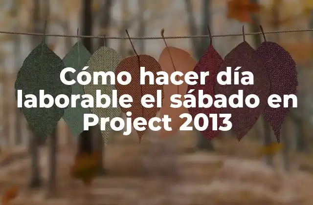 ¿Qué es un día laborable en Project 2013?