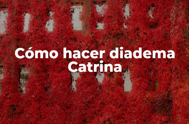 ¿Qué es una diadema Catrina?