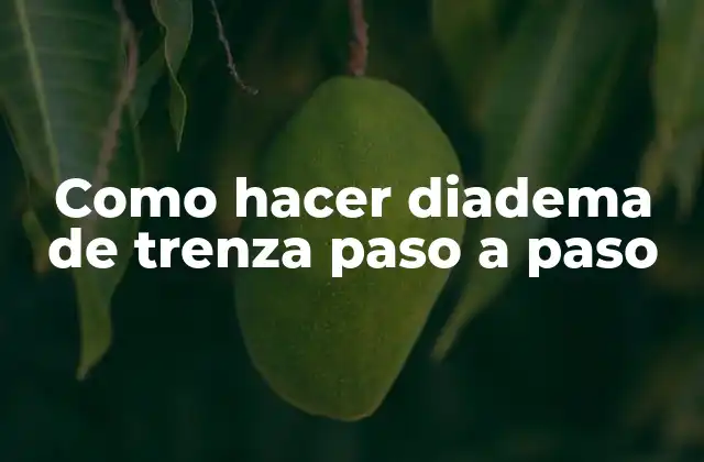 ¿Qué es una diadema de trenza?