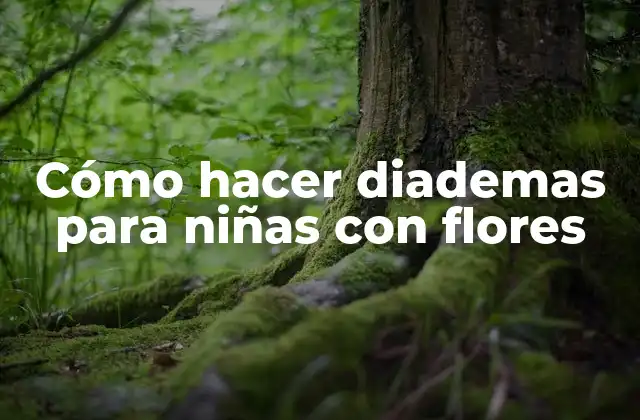 Cómo Hacer Diademas para Niñas con Flores