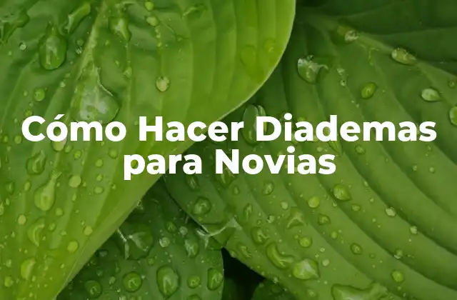 Cómo Hacer Diademas para Novias