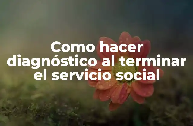 Diagnóstico después del servicio social
