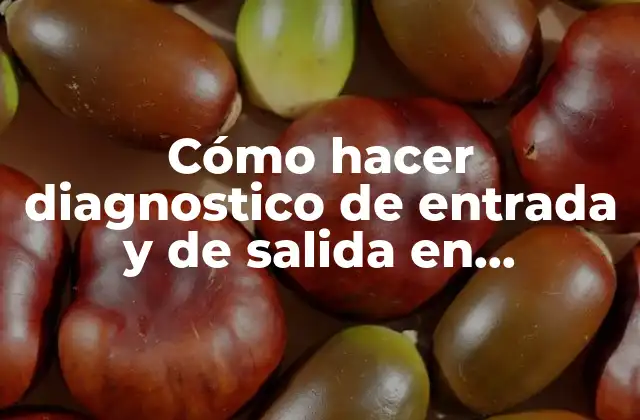 Diagnóstico de entrada y de salida en educación