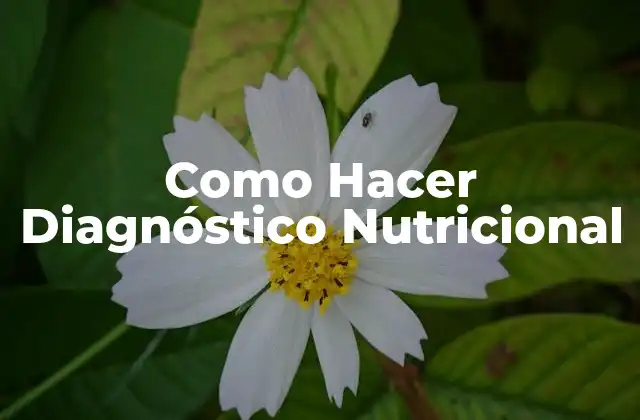Como Hacer Diagnóstico Nutricional