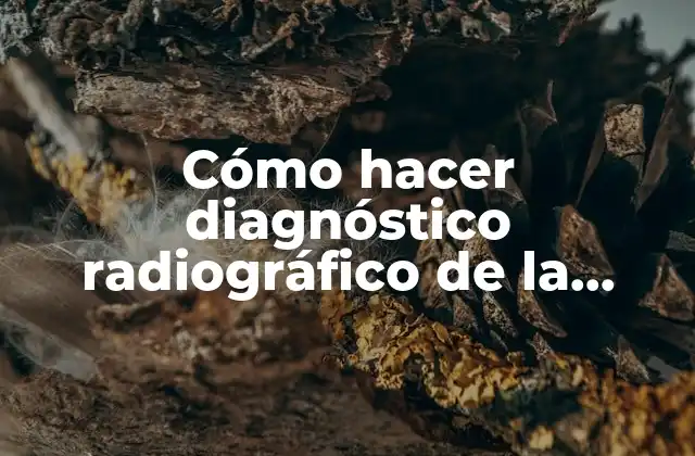 Cómo Hacer Diagnóstico Radiográfico de la Radiografía Panorámica en Niños