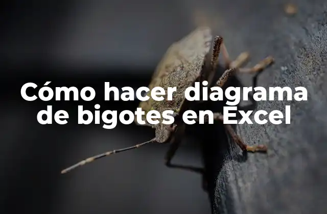 Cómo Hacer Diagrama de Bigotes en Excel