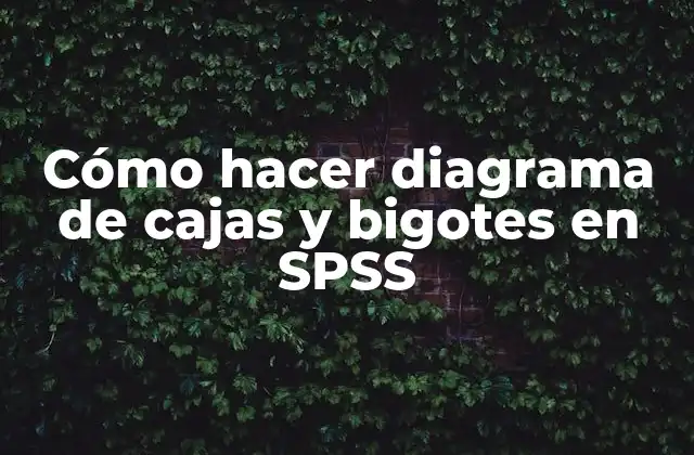 Cómo Hacer Diagrama de Cajas y Bigotes en Spss