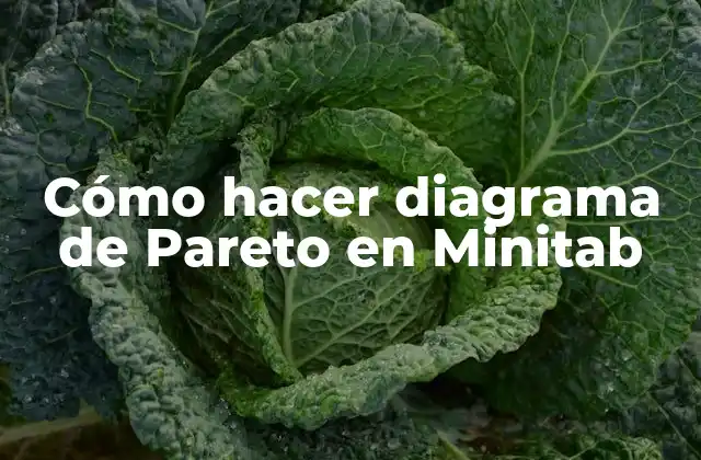 Cómo Hacer Diagrama de Pareto en Minitab