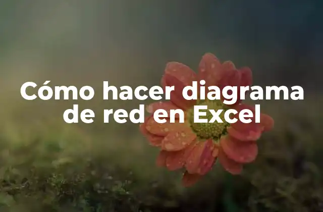 Cómo Hacer Diagrama de Red en Excel