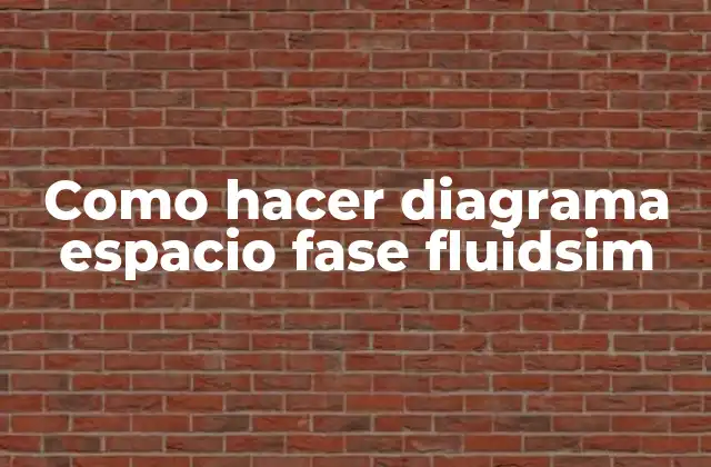 Como Hacer Diagrama Espacio Fase Fluidsim