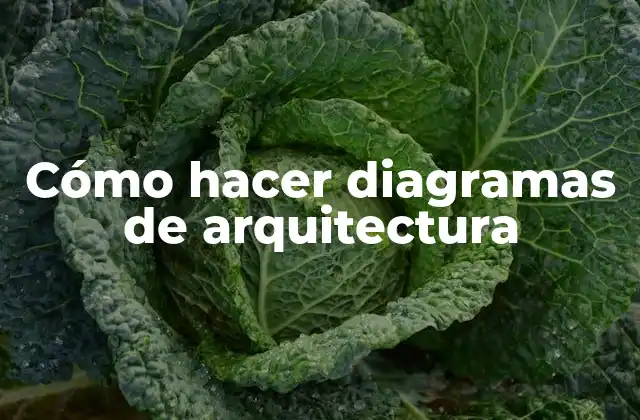 Cómo Hacer Diagramas de Arquitectura