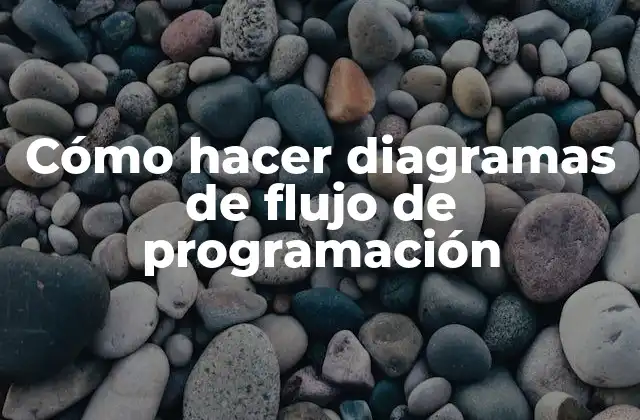 Cómo Hacer Diagramas de Flujo de Programación