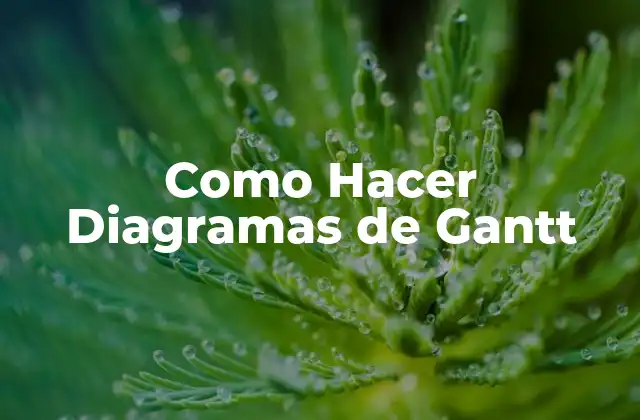 Como Hacer Diagramas de Gantt