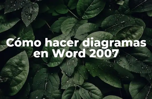 Cómo Hacer Diagramas en Word 2007