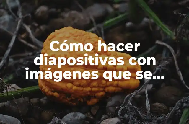 Cómo Hacer Diapositivas con Imágenes que Se Mueven