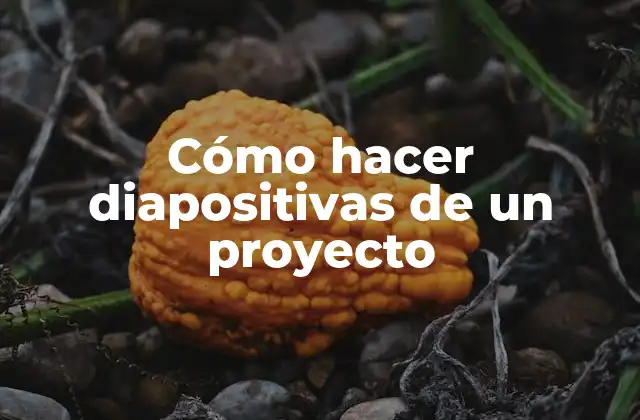 Diapositivas de un proyecto