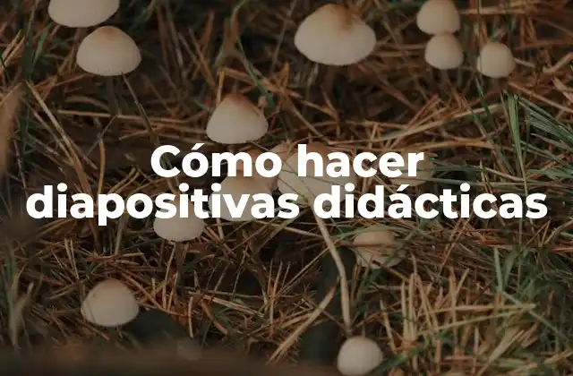 Cómo Hacer Diapositivas Didácticas 2 Cómo hacer diapositivas didácticas