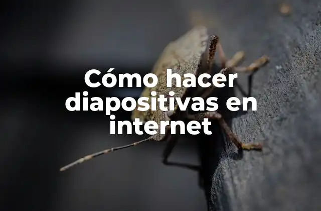 Cómo Hacer Diapositivas en Internet