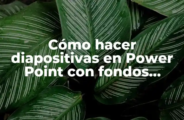 Cómo Hacer Diapositivas en Power Point con Fondos Personalizados