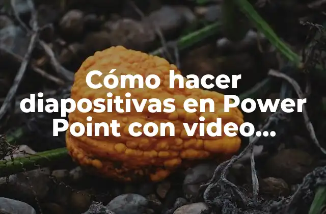 Cómo Hacer Diapositivas en Power Point con Video Descarga Directa